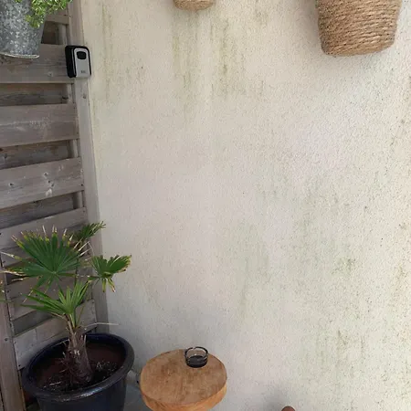 South Ii With Free Parking * Zandvoort