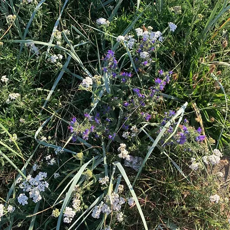 South Ii With Free Parking Зандфорт