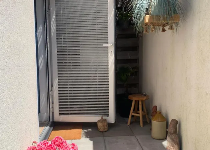 South Ii With Free Parking *