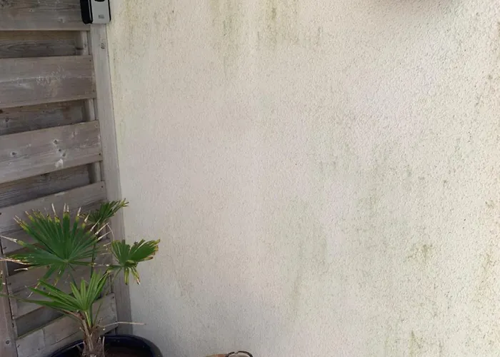 South Ii With Free Parking * Zandvoort