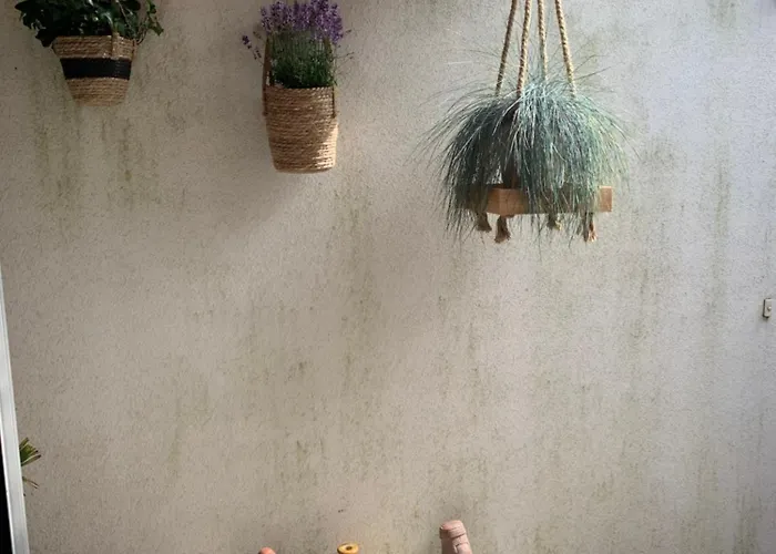 South Ii With Free Parking *